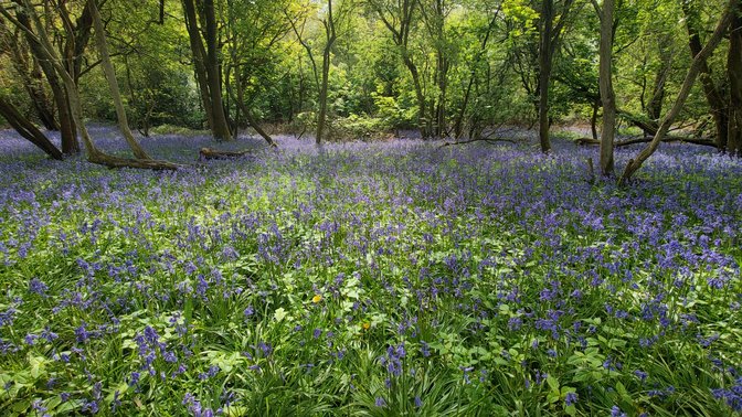 Shotover Country Park