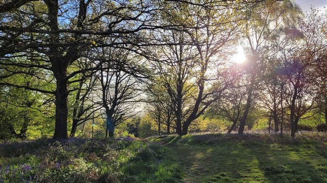 Shotover Country Park