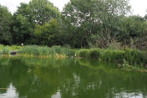 Spindleberry Nature Park