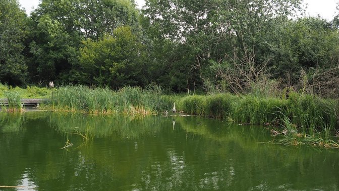 Spindleberry Nature Park