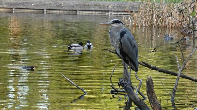 Spindleberry Nature Park