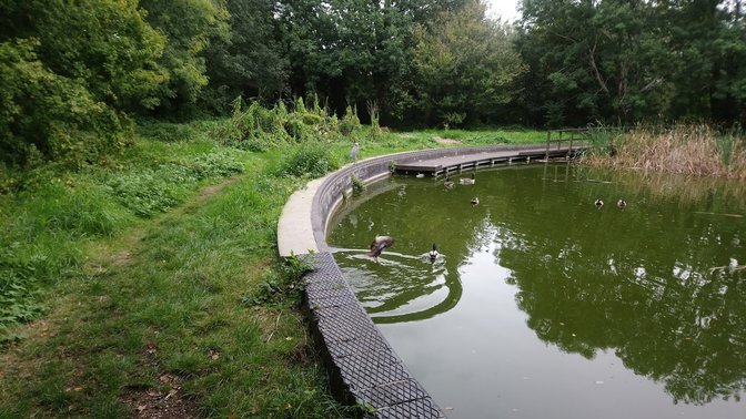 Spindleberry Nature Park