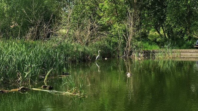 Spindleberry Nature Park