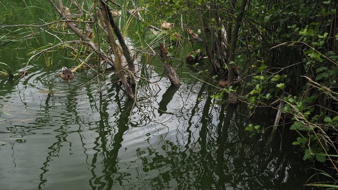 Spindleberry Nature Park