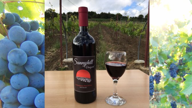 Sunnyhill Vineyard
