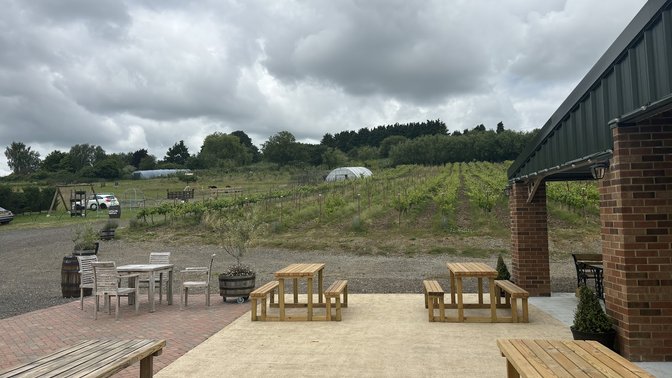 Sunnyhill Vineyard