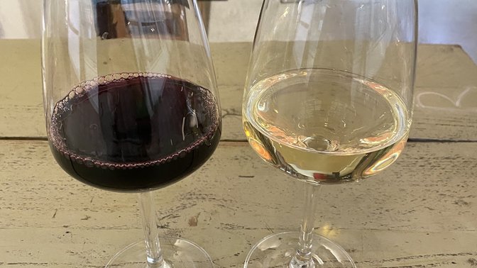 The Market Cellar Door