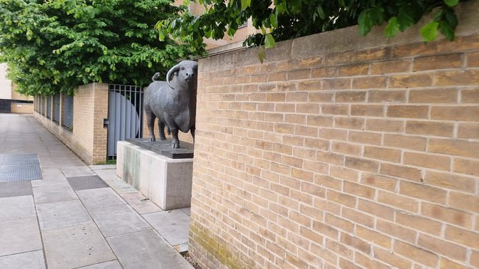 The Ox By Olivia Musgrave