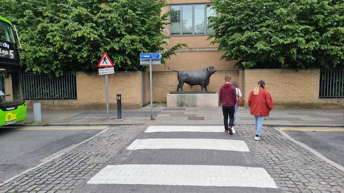 The Ox By Olivia Musgrave