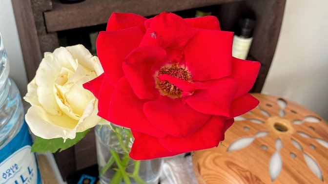 The Oxford Massage Centre