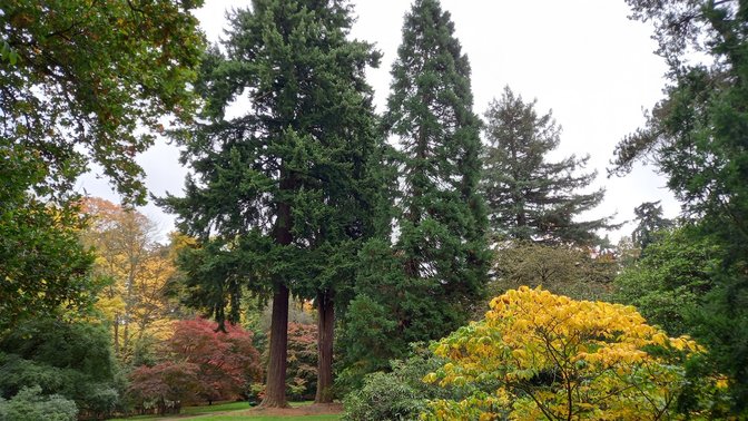 The University of Oxford Harcourt Arboretum