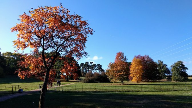 The University of Oxford Harcourt Arboretum