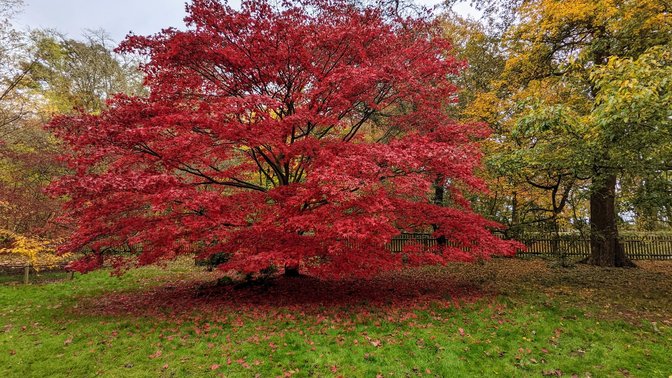 The University of Oxford Harcourt Arboretum