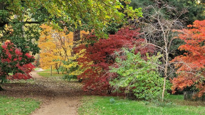 The University of Oxford Harcourt Arboretum