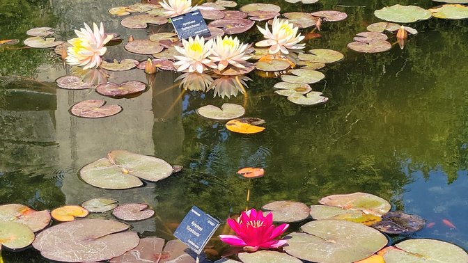 University of Oxford Botanic Garden