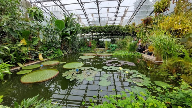 University of Oxford Botanic Garden