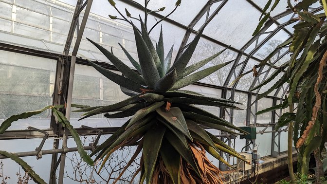 University of Oxford Botanic Garden
