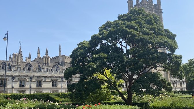 University of Oxford Botanic Garden