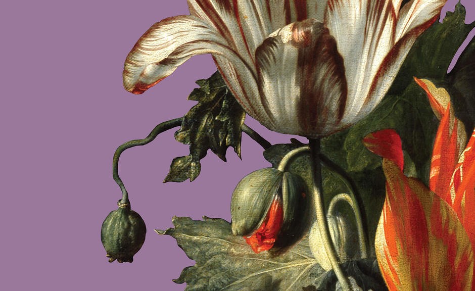 Rare Botanical Art and Global Journeys: In Bloom's Final Week