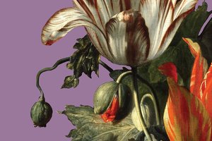 Rare Botanical Art and Global Journeys: In Bloom's Final Week