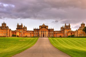 Elite Equestrian Action: Inside the Blenheim Palace Horse Trials