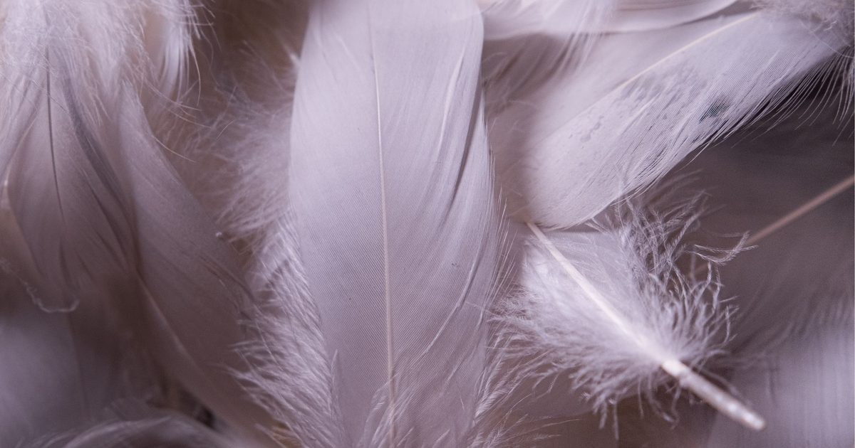 A Razor-Sharp Staging of The Seagull Lands in Oxford