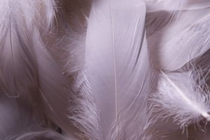 A Razor-Sharp Staging of The Seagull Lands in Oxford