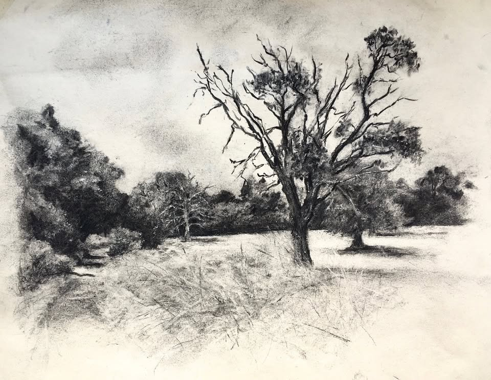 Oxford Trees: Emma Coleman-Jones in conversation with Arabella Warner