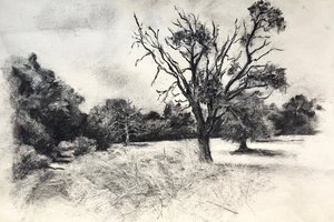 Oxford Trees: Emma Coleman-Jones in conversation with Arabella Warner