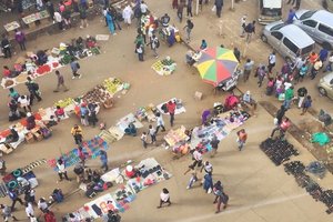 Britain Zimbabwe Society Research Day