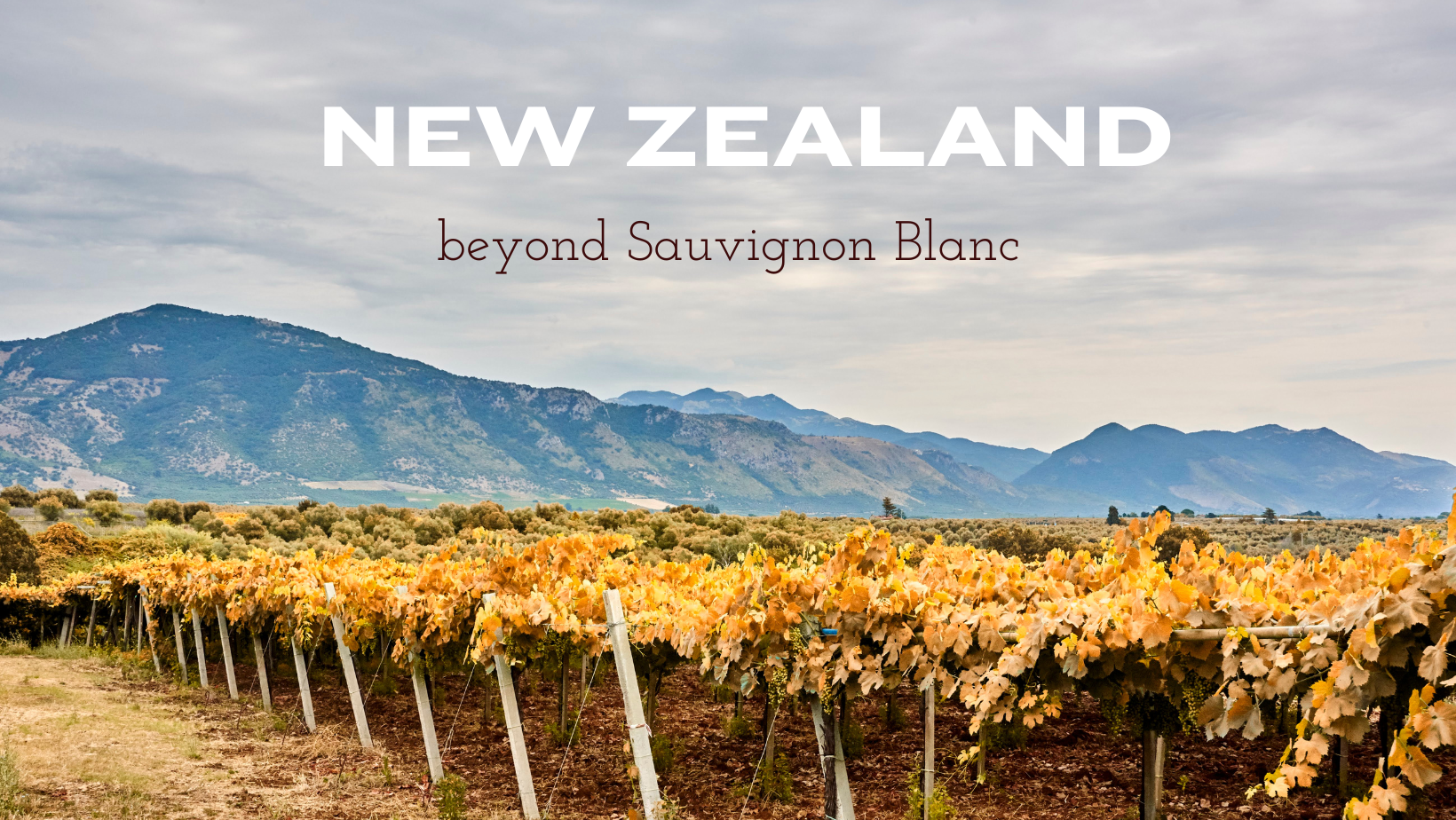 NEW ZEALAND - BEYOND SAUVIGNON BLANC! Grand Tour Stop 10