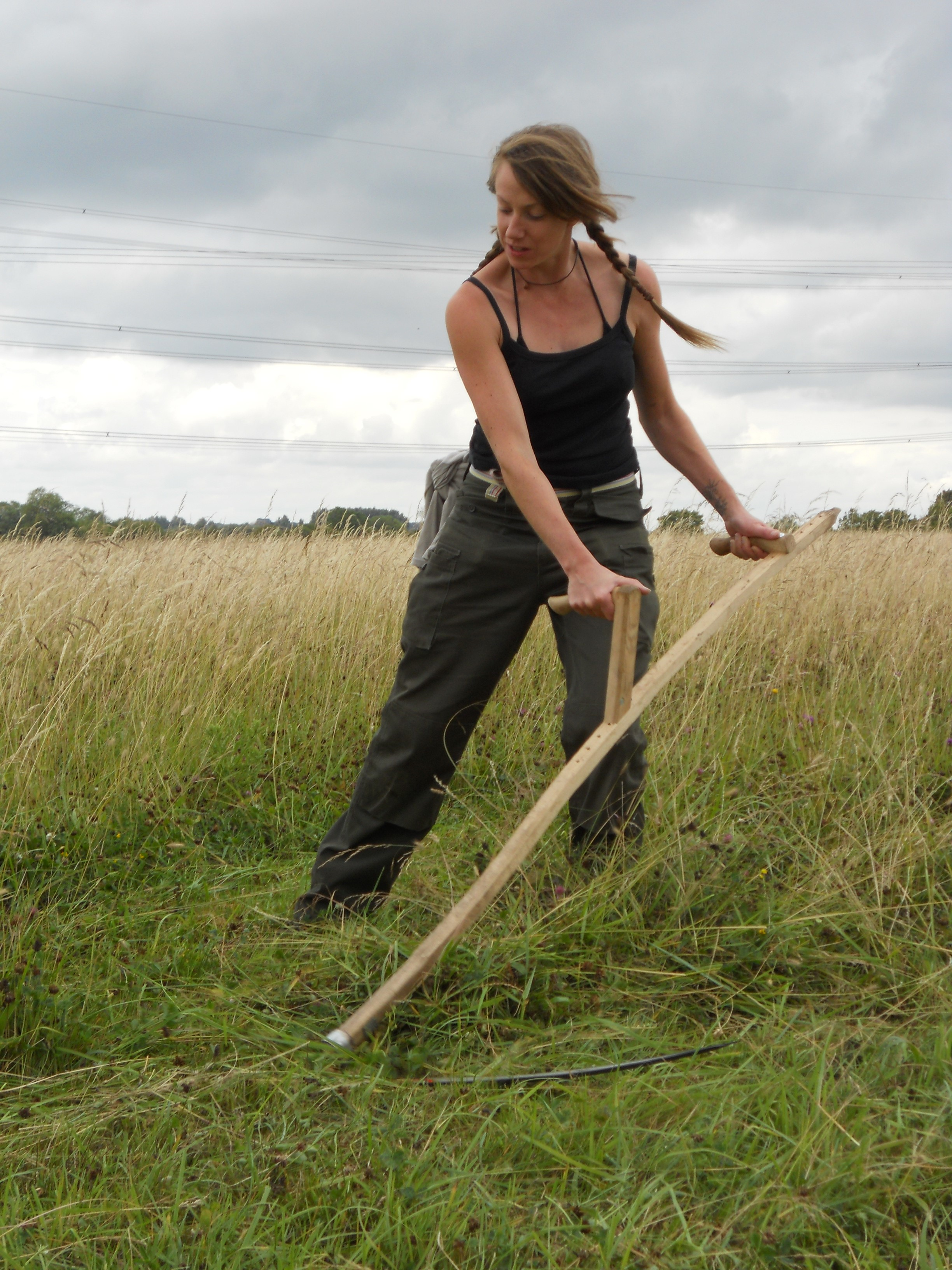 Training in the use and maintenance of the Austrian scythe - Sutton Courtenay, Thursday 4 September